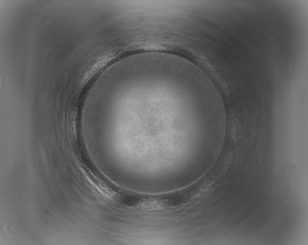 X0000078000299200610271143