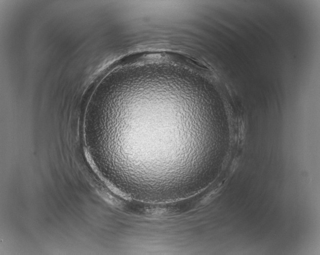 X0000078000301200610271143