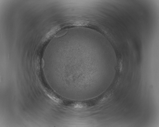 X0000078000303200610271143