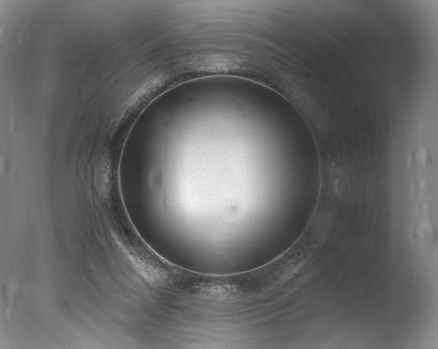 X0000078000304200610271143