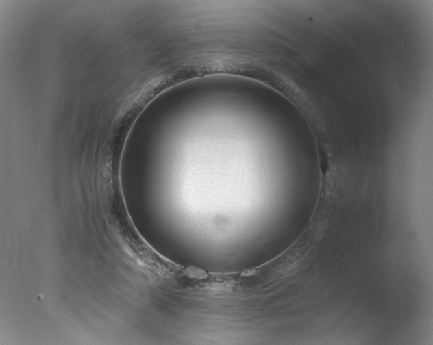 X0000078000306200610271143