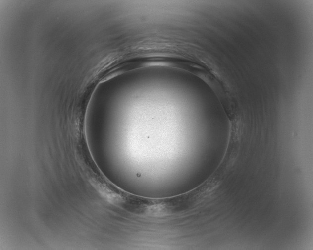 X0000078000309200610271143
