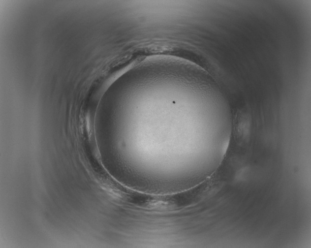 X0000078000315200610271143