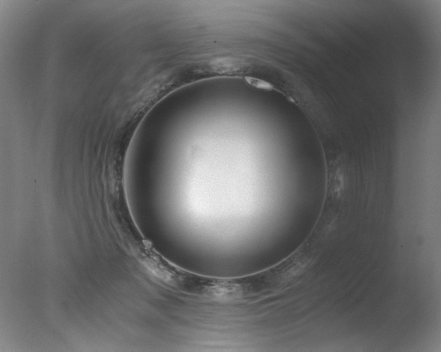 X0000078000317200610271143