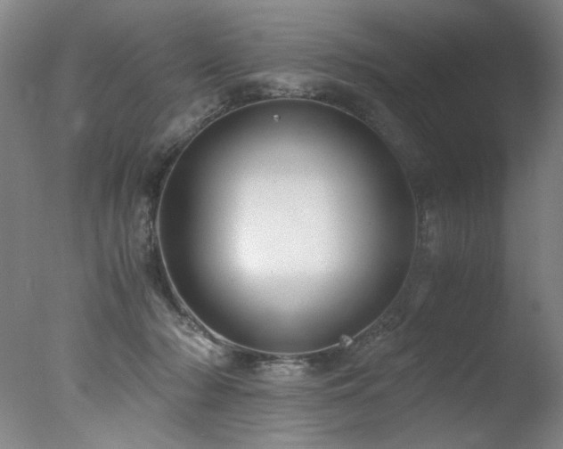 X0000078000318200610271143