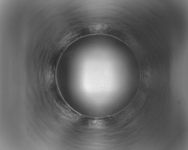 X0000078000324200610271143