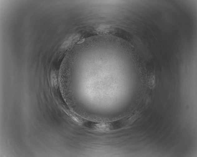 X0000078000335200610271143