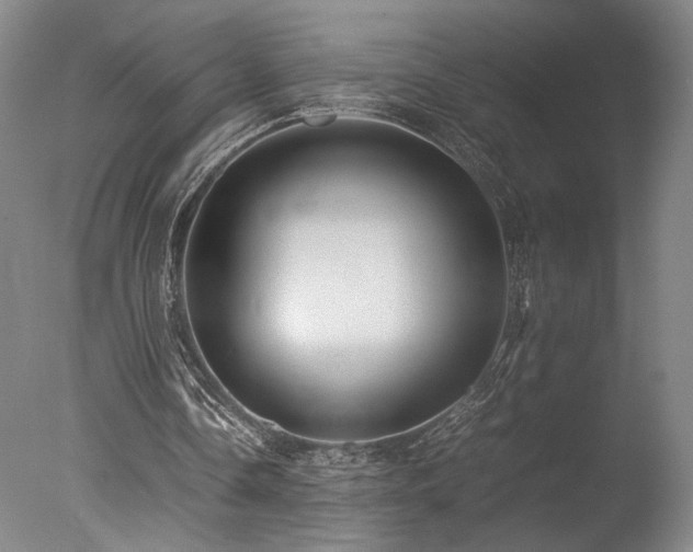 X0000078000338200610271142