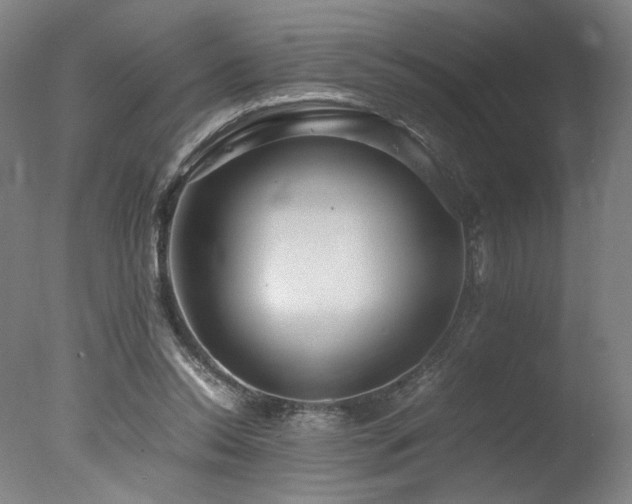 X0000078000350200610271142