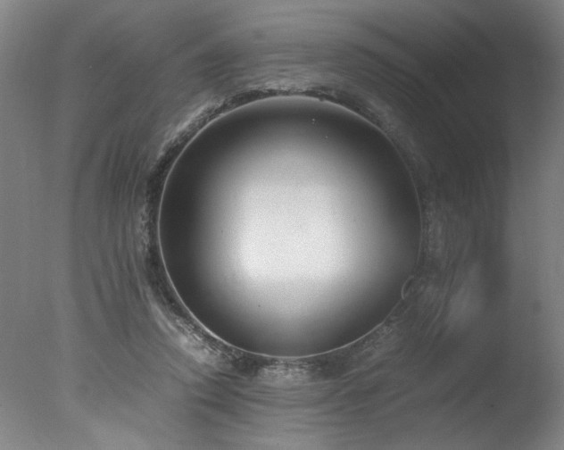 X0000078000354200610271142