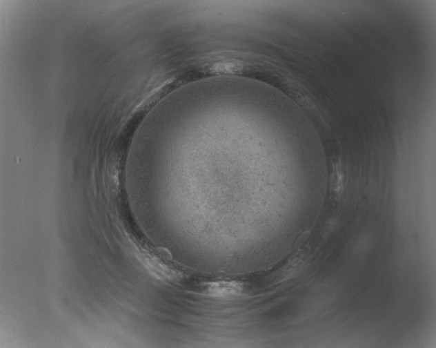 X0000078000363200610271142