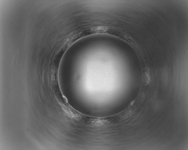 X0000078000379200610271143