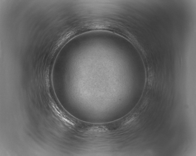 X0000078000386200610271142