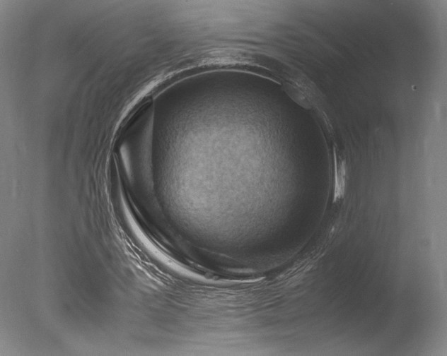 X0000078000387200610271142
