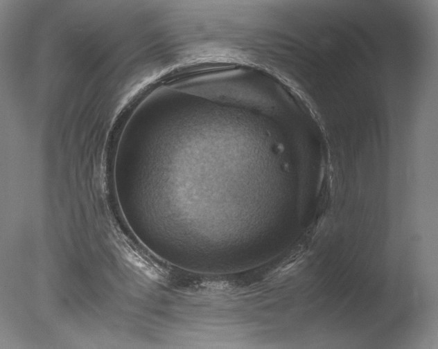 X0000078000391200610271142