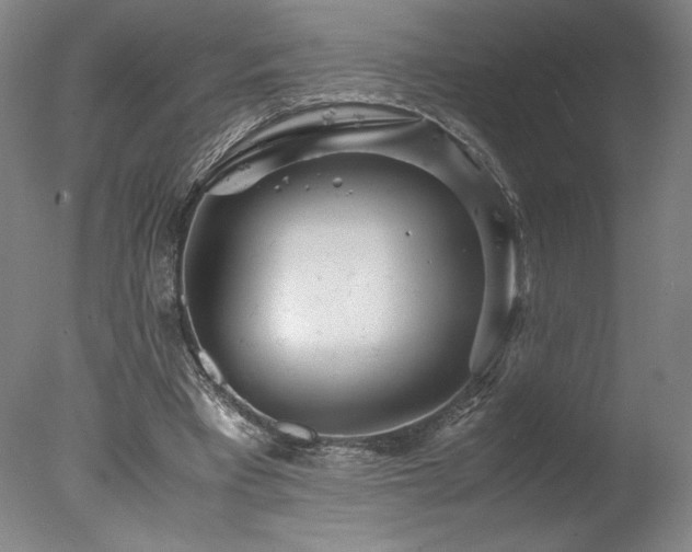 X0000078000393200610271142