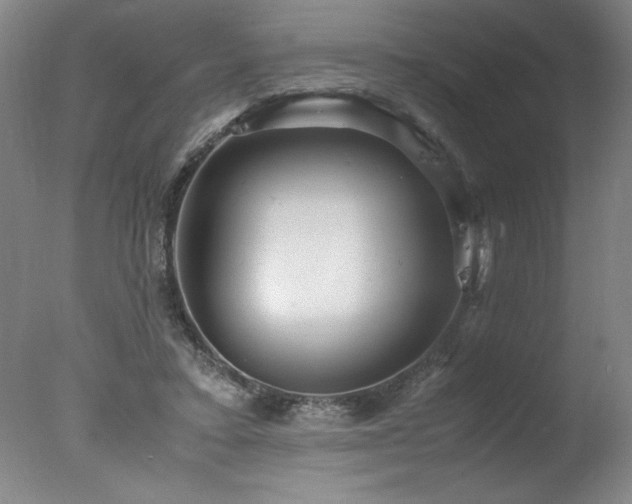 X0000078000403200610271142