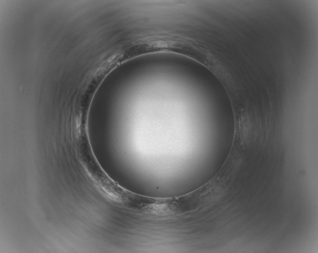 X0000078000406200610271142