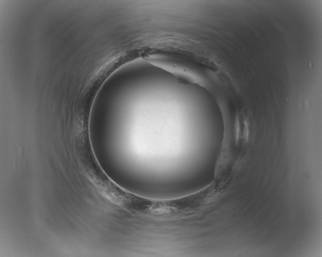 X0000078000407200610271142