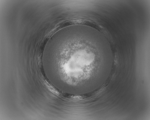 X0000078000409200610271141