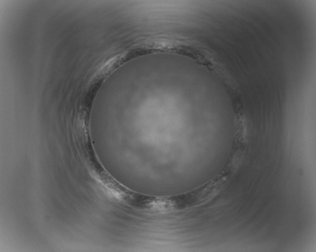 X0000078000415200610271141