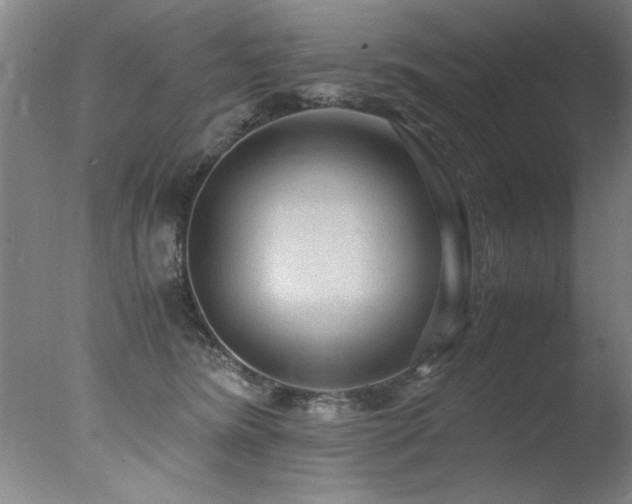 X0000078000420200610271141