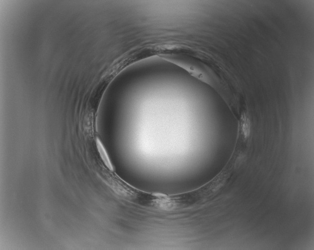 X0000078000425200610271141