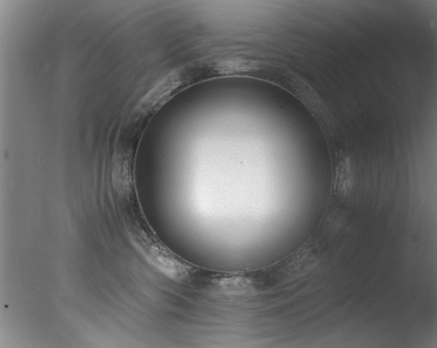 X0000078000426200610271141