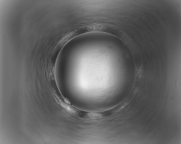 X0000078000429200610271141