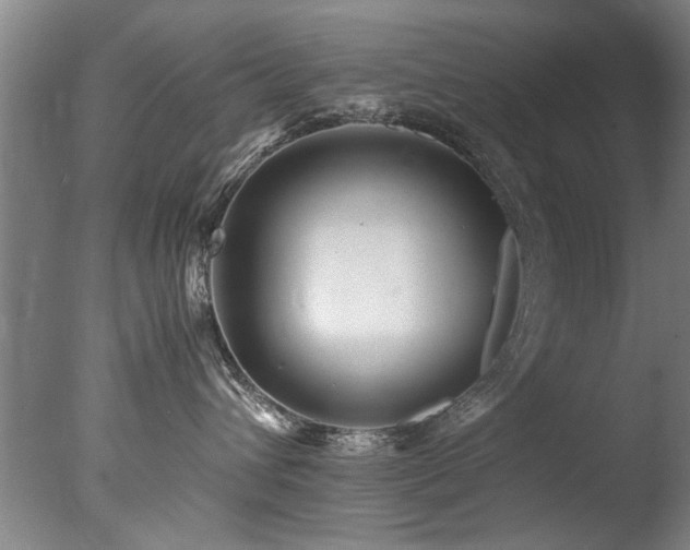 X0000078000432200610271141