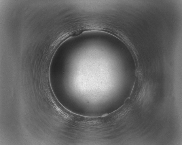 X0000078000433200610271140