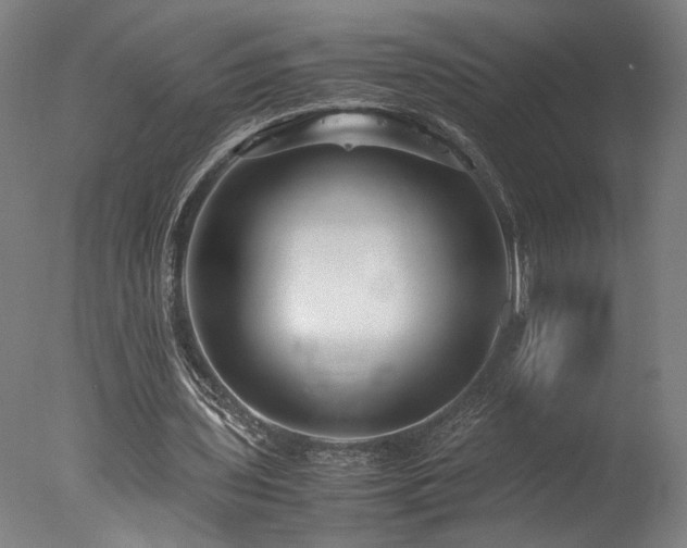 X0000078000435200610271140