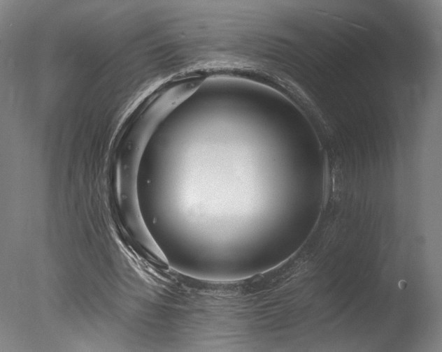 X0000078000436200610271140
