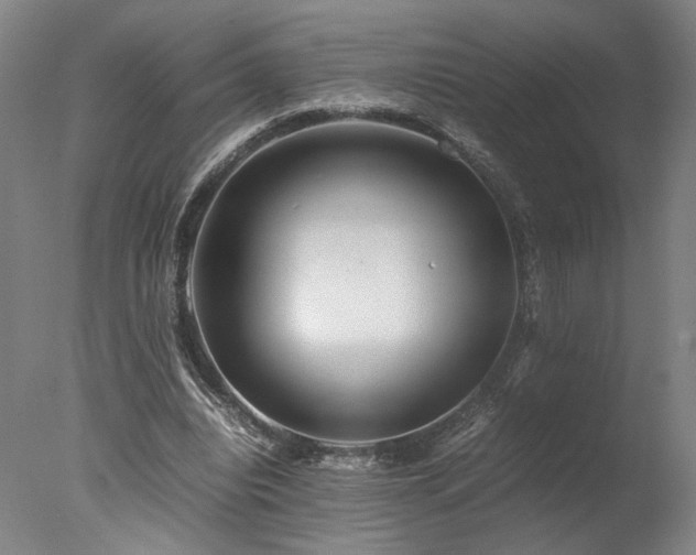 X0000078000440200610271140