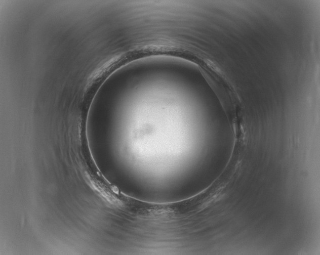X0000078000446200610271141