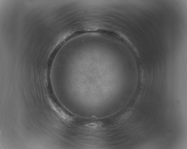 X0000078000447200610271141