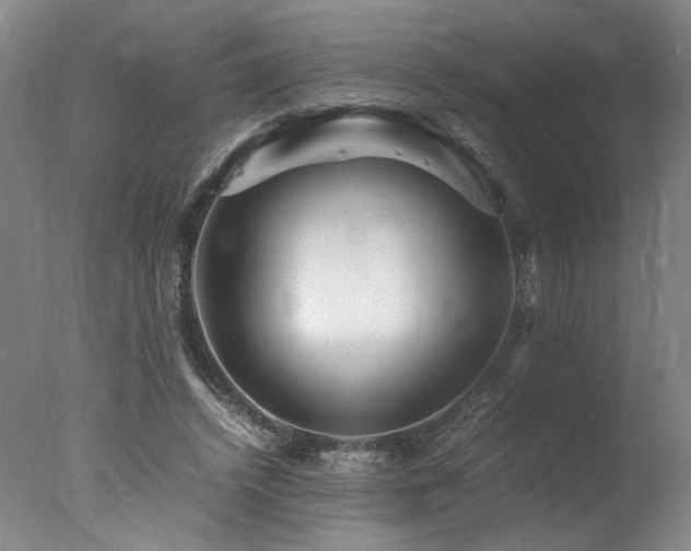 X0000078000448200610271141