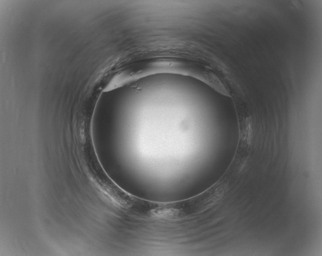 X0000078000452200610271141