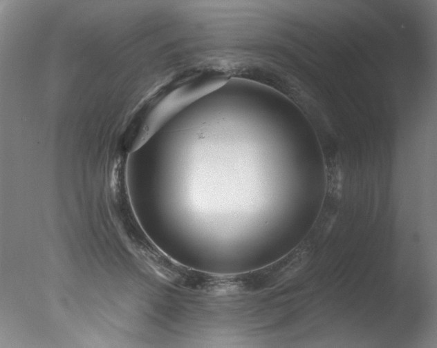 X0000078000456200610271141