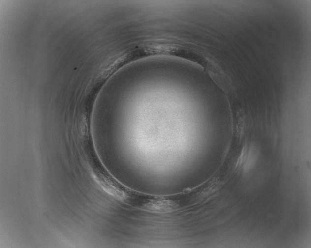 X0000078000459200610271141