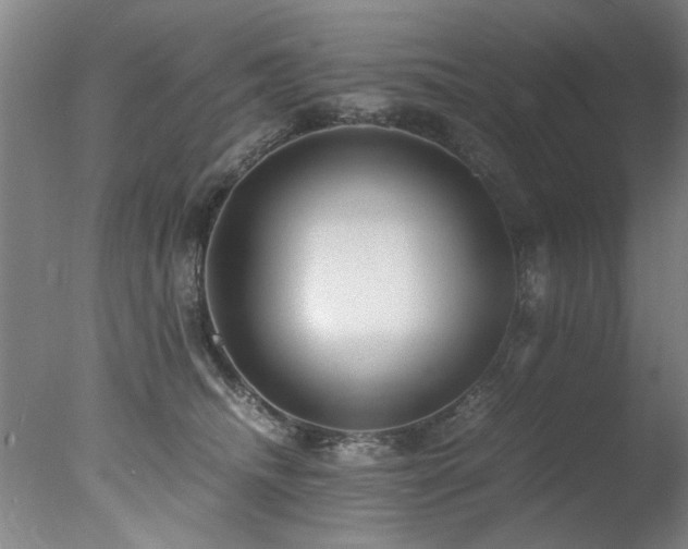 X0000078000468200610271141