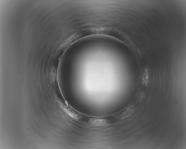 X0000078000476200610271141