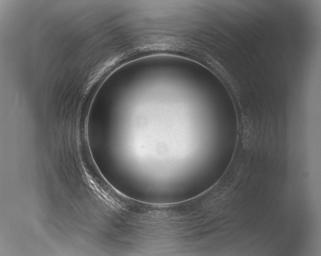 X0000078000482200610271140