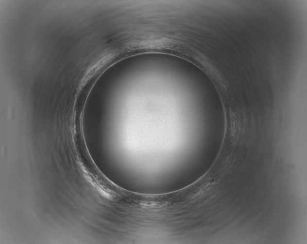 X0000078000486200610271140