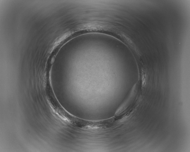X0000078000488200610271140