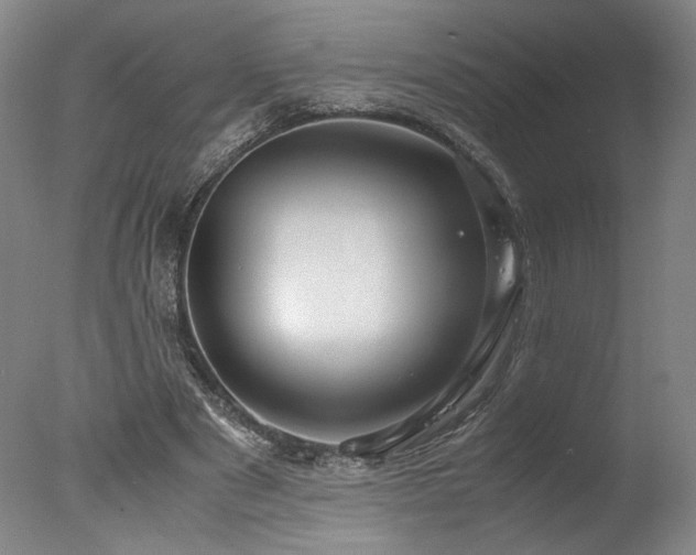 X0000078000489200610271140
