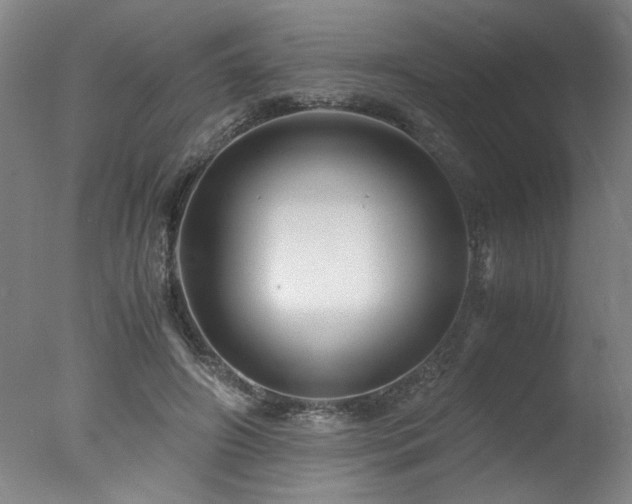 X0000078000498200610271140