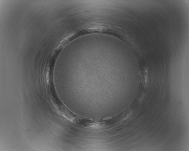 X0000078000504200610271140