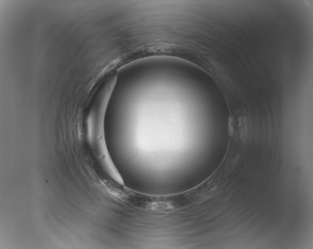 X0000078000508200610271140