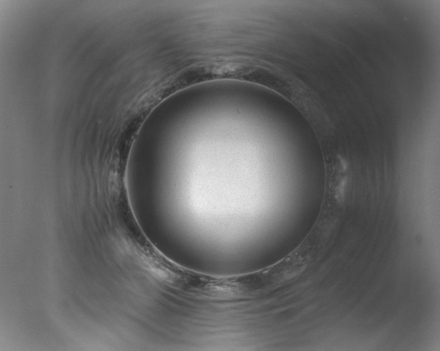X0000078000510200610271140